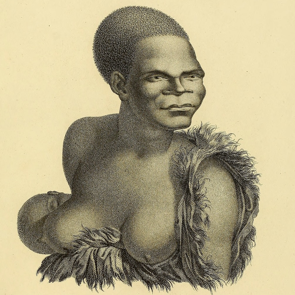 Illustration (thumbnail)